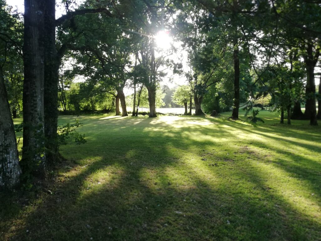 terrain swin golf de rougé